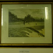 Cover image of 16th Green, Banff Springs Golf course